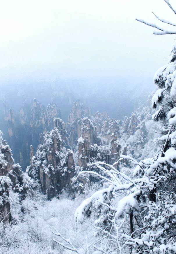 涵盖张家界五天四晚旅游安排家庭小团推荐C